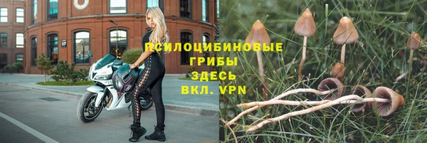 spice Волоколамск
