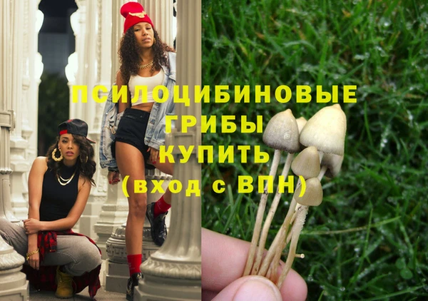 spice Волоколамск